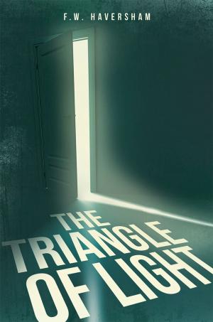 Cover of the book The Triangle of Light by S. A. SW ISHER, JAMES W. MORGAN, JR