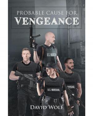 Cover of the book Probable Cause for Vengeance by Katherine Haennicke