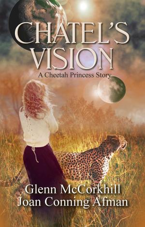 Cover of the book Chatel's Vision by Shiela Stewart