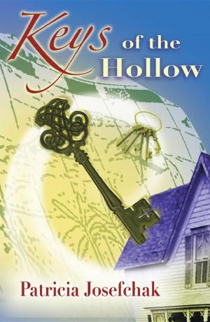 bigCover of the book Keys of the Hollow by 