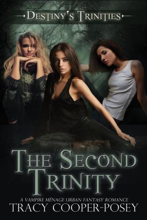 Cover of the book The Second Trinity by RJ Dale