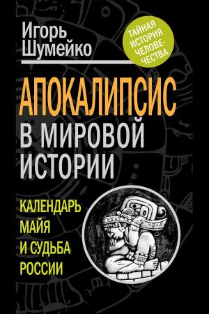 Cover of the book Апокалипсис в мировой истории. Календарь майя и судьба России by Берия, Серго