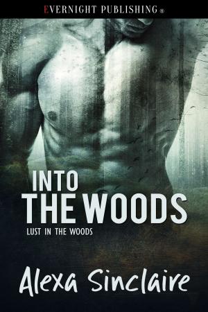 Cover of the book Into the Woods by Daisy Philips