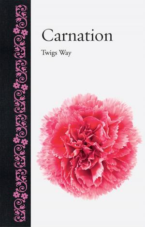 Cover of the book Carnation by Arne Vetlesen