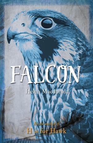 Cover of the book Falcon by Paul Bishop