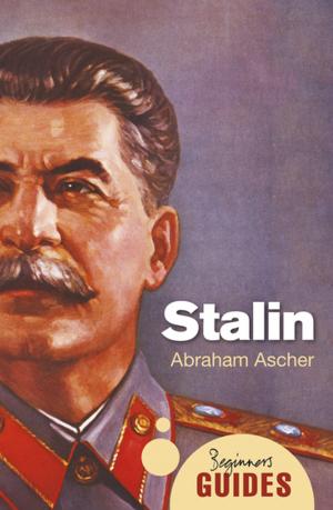 Cover of the book Stalin by Jan van Niekerk