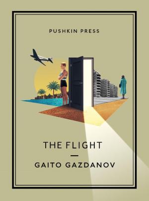 Book cover of The Flight