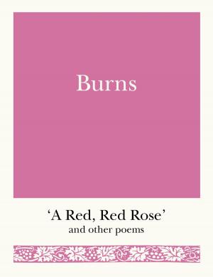 Cover of the book Burns by Dan T. Alighieri