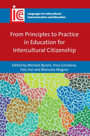 Cover of the book From Principles to Practice in Education for Intercultural Citizenship by Dr. Jo Anne Kleifgen