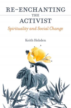 Cover of the book Re-enchanting the Activist by Lee A. Wilkinson