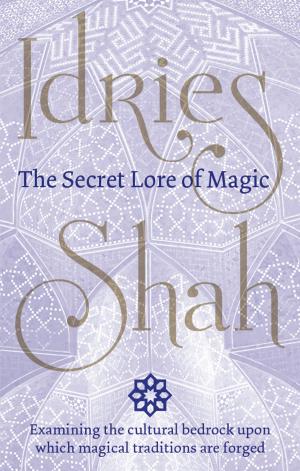 Book cover of The Secret Lore of Magic