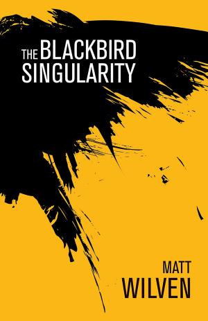 Cover of the book The Blackbird Singularity by Jemma Wayne