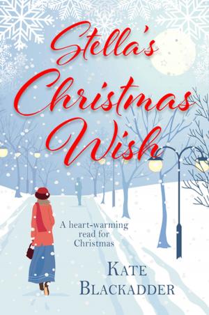 Cover of the book Stella's Christmas Wish by Sheena Wilkinson