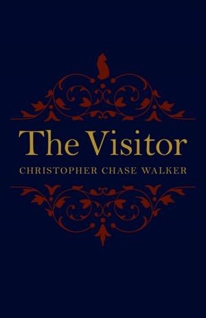 Cover of the book The Visitor by Melusine Draco