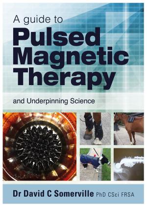 Cover of the book A Guide to Pulsed Magnetic Therapy by Tom Davies