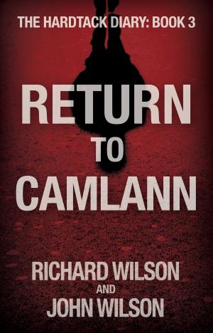Book cover of Return to Camlann