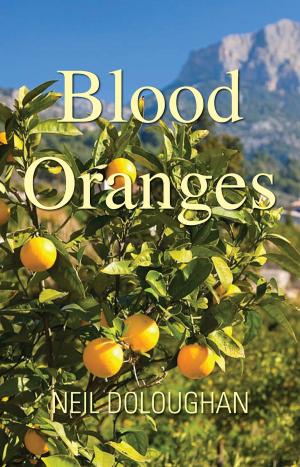 Cover of the book Blood Oranges by Valerie Hansard