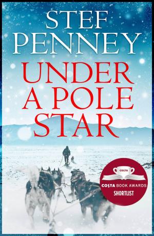 Cover of the book Under a Pole Star by Frank P. Ryan