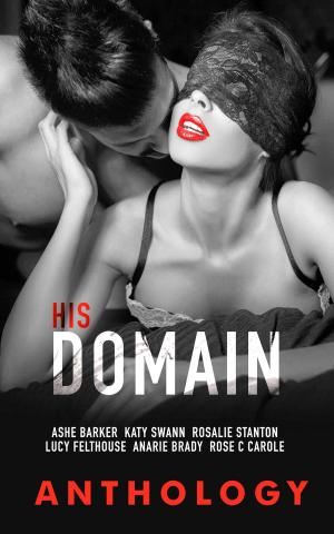 Cover of the book His Domain by Lisabet Sarai