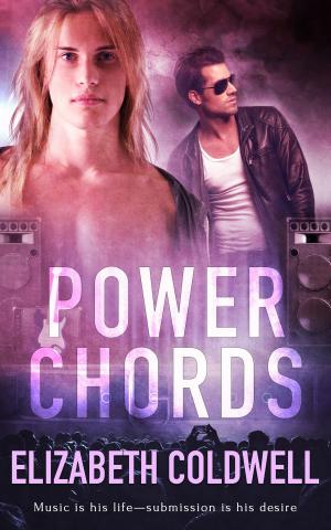 Cover of the book Power Chords by Edward Kendrick