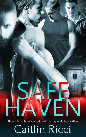 Cover of the book Safe Haven by Kris Norris