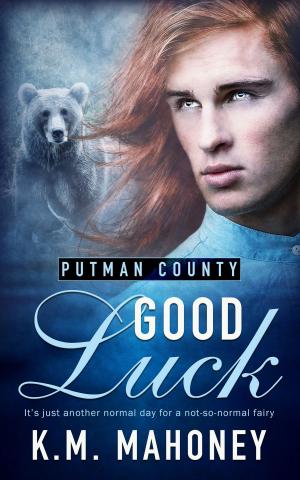 Cover of the book Good Luck by Crissy Smith