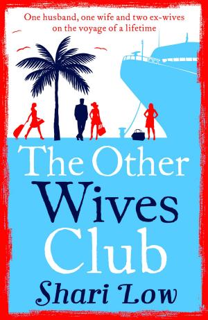 Cover of the book The Other Wives Club by Stephen Godden