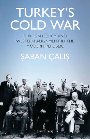 Cover of the book Turkey’s Cold War by Professor John Webster