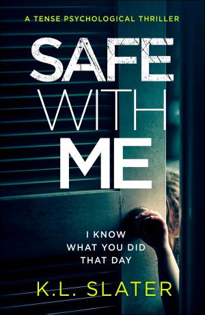 Cover of the book Safe With Me by Fiona Valpy