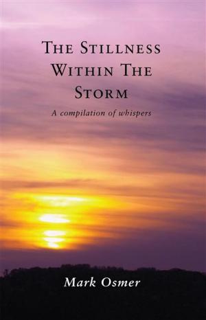 Cover of Stillness Within The Storm: A compilation of whispers