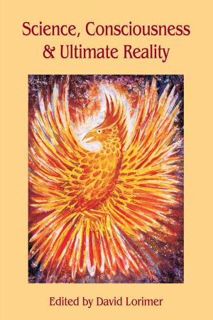 Cover of the book Science, Consciousness and Ultimate Reality by Chris Cowlin