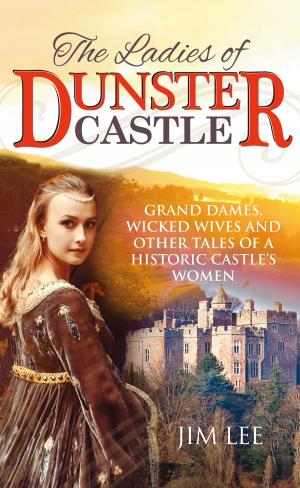 Cover of the book The Ladies of Dunster Castle by Dave Halliwell