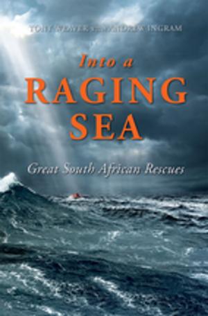Book cover of Into a Raging Sea