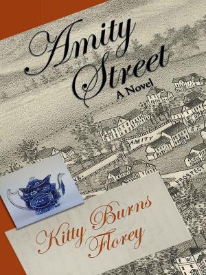 Cover of the book Amity Street by Karen Osborn