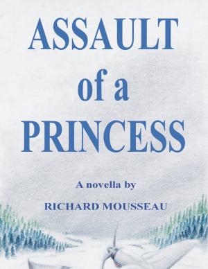 Cover of the book Assault of a Princess by Kami Garcia