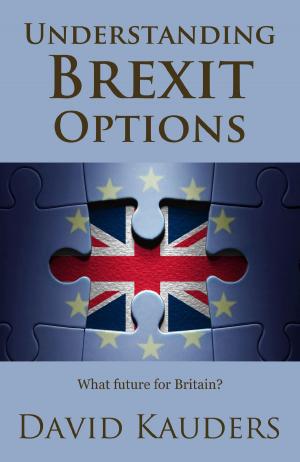 Cover of the book Understanding Brexit Options by Brian Conaghan