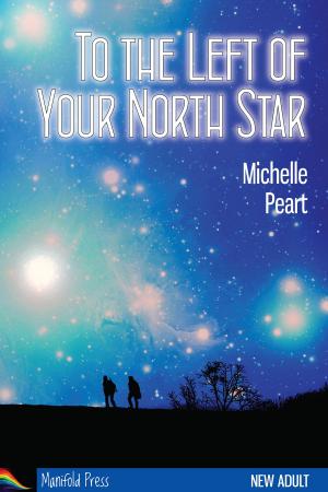 Cover of the book To the Left of Your North Star by Adam Fitzroy