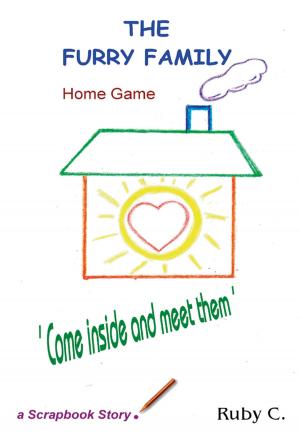 Cover of the book Home Game by Amy Fernandez