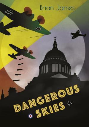 Cover of the book Dangerous Skies by Ashad Mukadam