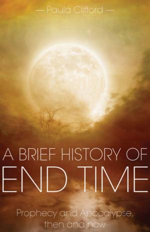 Cover of the book A Brief History of End Time by David Newman