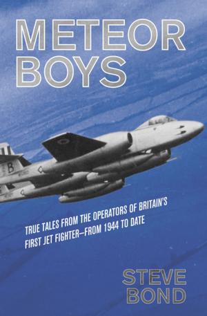 Cover of the book Meteor Boys by Elizabeth David