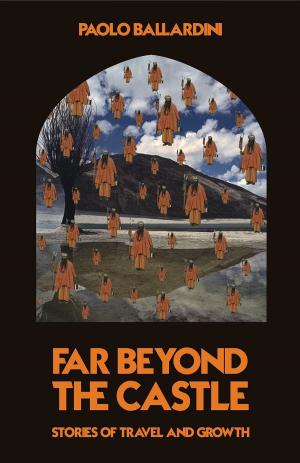 bigCover of the book Far Beyond the Castle by 