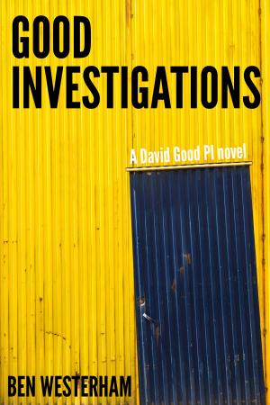 Cover of the book Good Investigations by Christine Donovan