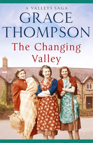 Book cover of The Changing Valley