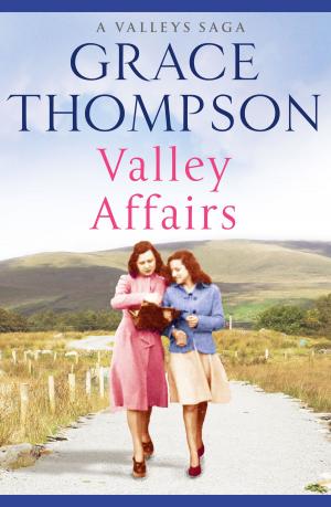 Cover of the book Valley Affairs by Samantha Tonge