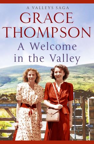 Cover of the book A Welcome in the Valley by Janet Tanner