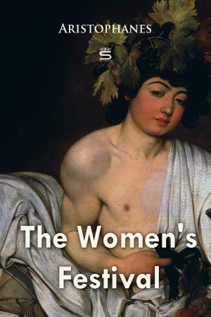 Cover of the book The Women's Festival by Mary Porter