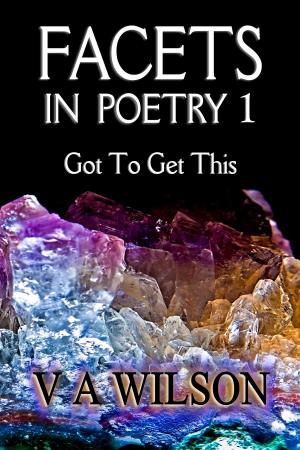 Cover of the book Facets In Poetry 1 by alex trostanetskiy