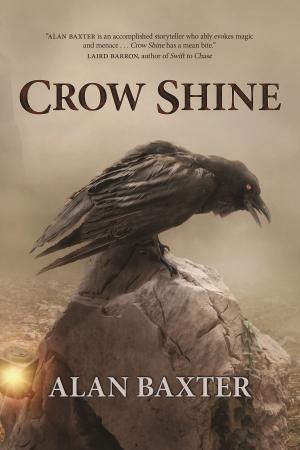 Cover of the book Crow Shine by Liz Grzyb, Talie Helene