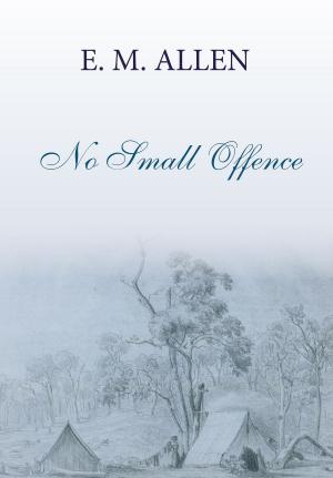 bigCover of the book No Small Offence by 